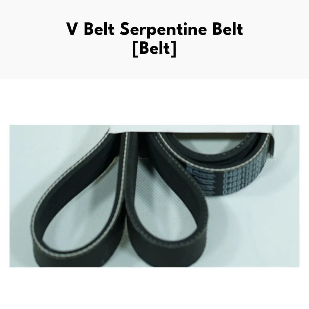 Gambar produk V Belt Serpentine Belt