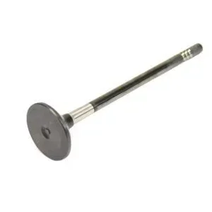Jual Exhaust Valve Klep Api Dodge Journey JC 3.6L untuk Dodge Journey Harga Murah Original
