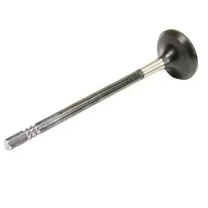 Jual Exhaust Valve Klep Api Jeep Wrangler JK 3.6L untuk Jeep Wrangler JK 2012-2018 Harga Murah Original Jual Exhaust Valve Klep Api Jeep Wrangler JK 3.6L untuk Jeep Wrangler JK 2012-2018 Harga Murah Original